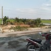 Ruộng xã phương Thịnh huyện Cao Lãnh tỉnh Đồng Tháp