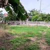 Nền xã Mỹ Trà TP Cao Lãnh tỉnh Đồng Tháp. 